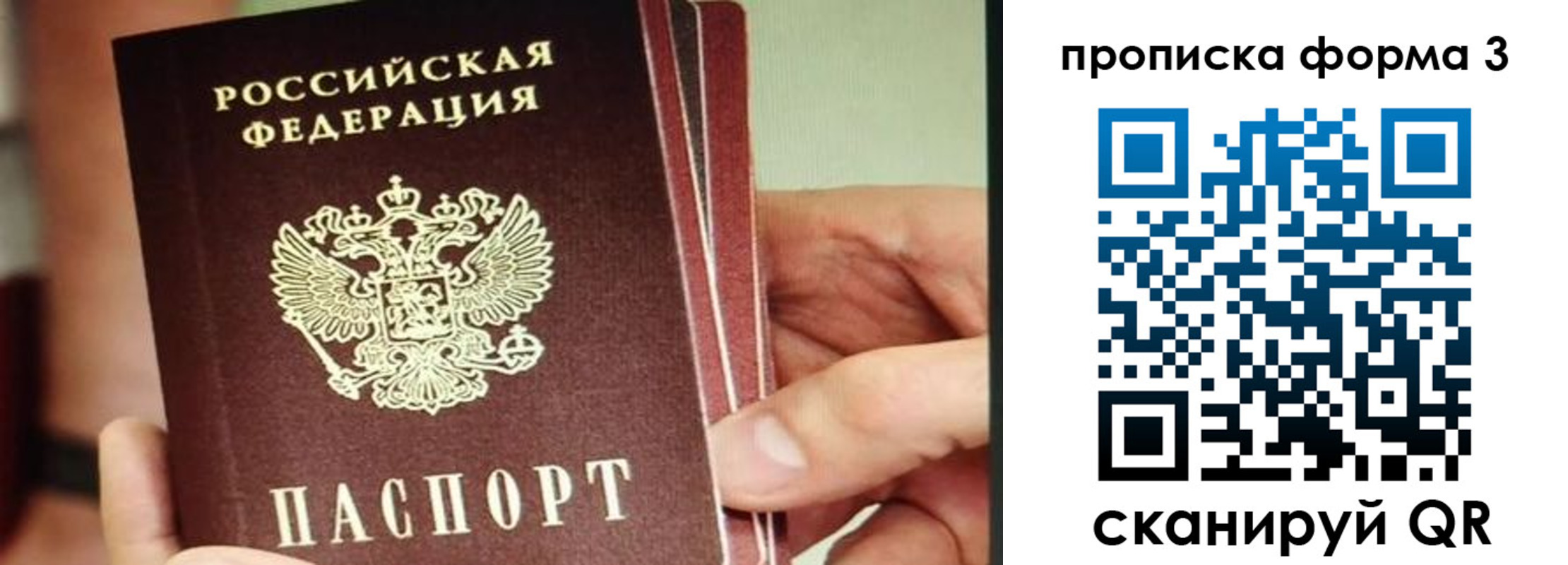 прописка законно в Смоленской области